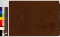 SW_D_4t060-06331_IMG-0000000001