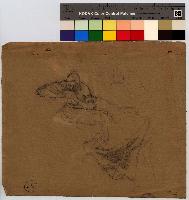 SW_D_4t060-06334_IMG-0000000001