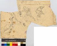SW_D_4t060-06363_IMG-0000000002