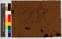 SW_D_4t060-06375_IMG-0000000001