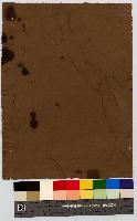 SW_D_4t060-06377_IMG-0000000001