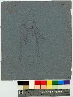 SW_D_4t060-06405_IMG-0000000001