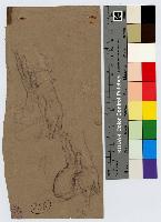 SW_D_4t060-06434_IMG-0000000001