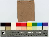 SW_D_4t060-06454_IMG-0000000001