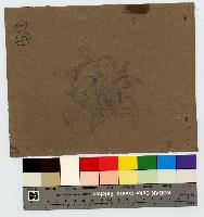 SW_D_4t060-06464_IMG-0000000001