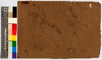SW_D_4t060-06473_IMG-0000000001