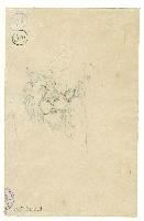 SW_D_4t060-06544_IMG-0000000001
