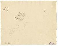 SW_D_4t060-06576_IMG-0000000002