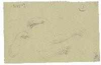 SW_D_4t060-06616_IMG-0000000001