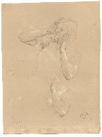 SW_D_4t060-06785_IMG-0000000001