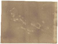 SW_D_4t060-06787_IMG-0000000001