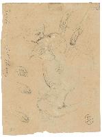 SW_D_4t060-06853_IMG-0000000001