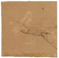 SW_D_4t060-06913_IMG-0000000001