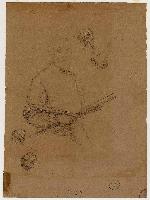 SW_D_4t060-06931_IMG-0000000001