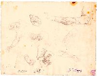 SW_D_4t060-06953_IMG-0000000001