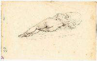 SW_D_4t060-07037_IMG-0000000001
