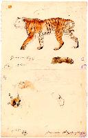 SW_D_4t060-07063_IMG-0000000001