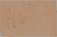 SW_D_4t060-07080_IMG-0000000001