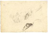 SW_D_4t060-07094_IMG-0000000001
