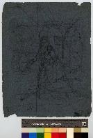 SW_D_4t060-07108_IMG-0000000001