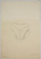 SW_D_4t060-07296_IMG-0000000001