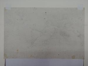 SW_D_SW4t1-00116_IMG-0000000001