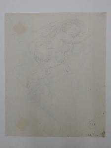 SW_D_SW4t1-00162_IMG-0000000001