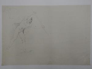 SW_D_SW4t1-00196_IMG-0000000001