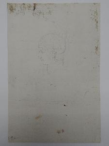 SW_D_SW4t1-00204_IMG-0000000001