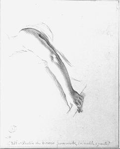 SW_D_SW4t1-00213_IMG-0000000001