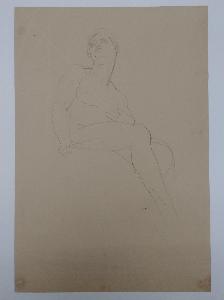 SW_D_SW4t1-00218_IMG-0000000001