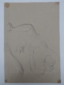 SW_D_SW4t1-00222_IMG-0000000001