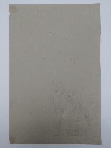 SW_D_SW4t1-00228_IMG-0000000001