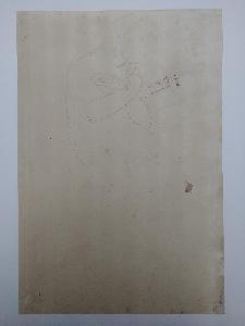SW_D_SW4t1-00242_IMG-0000000001