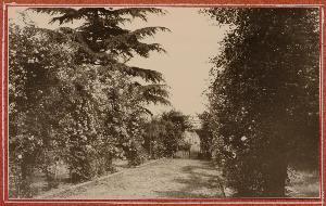 SW_F_SUP-SWIS1-0000437_IMG-0000000001