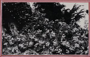 SW_F_SUP-SWIS1-0000441_IMG-0000000001