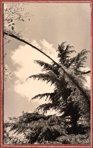 SW_F_SUP-SWIS1-0000454_IMG-0000000001