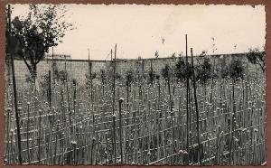 SW_F_SUP-SWIS1-0000516_IMG-0000000003
