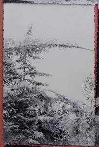 SW_F_SUP-SWIS1-0000519_IMG-0000000001