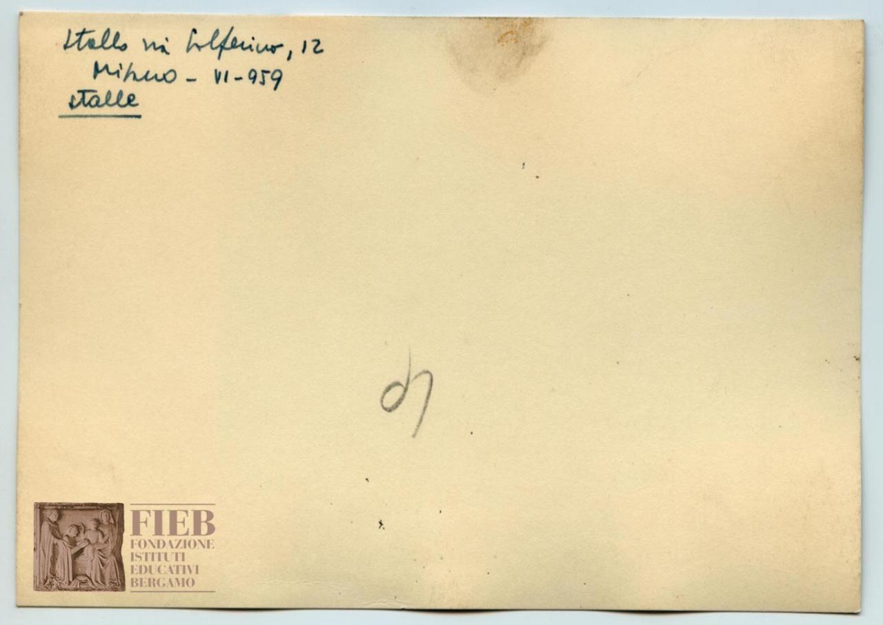 SW_F_SUP-SWEB1-0000424_IMG-0000000002