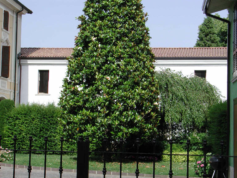 Dipendenza di Palazzo Berta (palazzo) - Borgosatollo (BS) 
