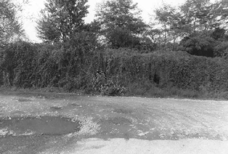 Ruderi fornace (ex) (fornace) - Bollate (MI) 