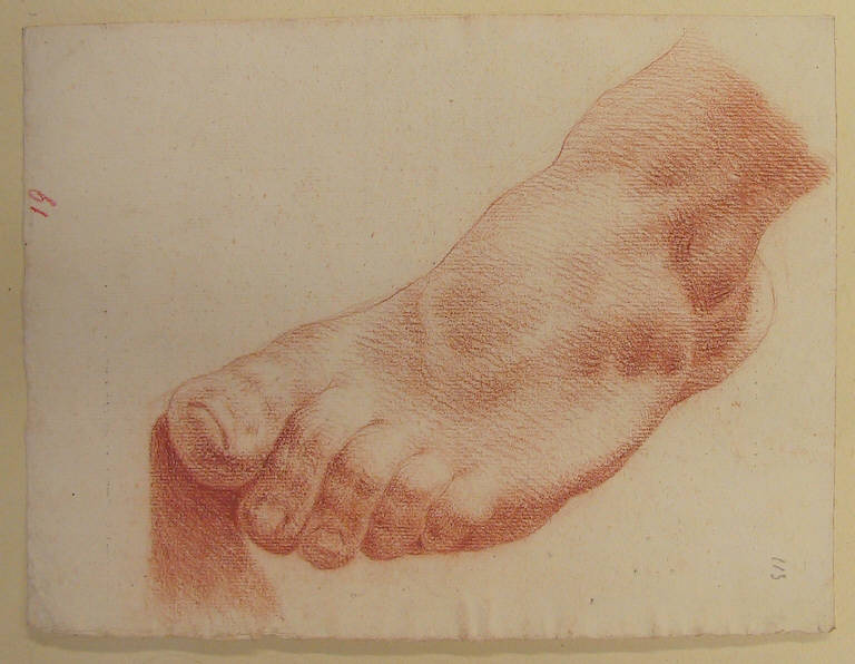 Piede/ Planimetria (disegno) di Ligari Cesare (secondo quarto sec. XVIII)