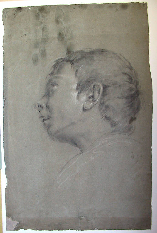 Testa di fanciullo (disegno) di Ligari Cesare (secondo quarto sec. XVIII)