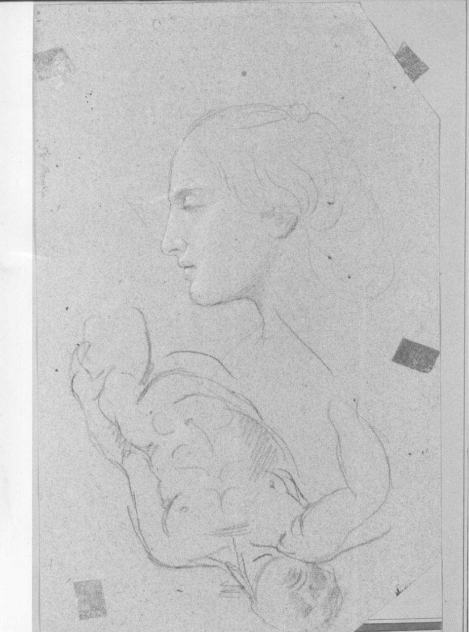 testa di donna (disegno) di Appiani, Andrea (sec. XVIII)