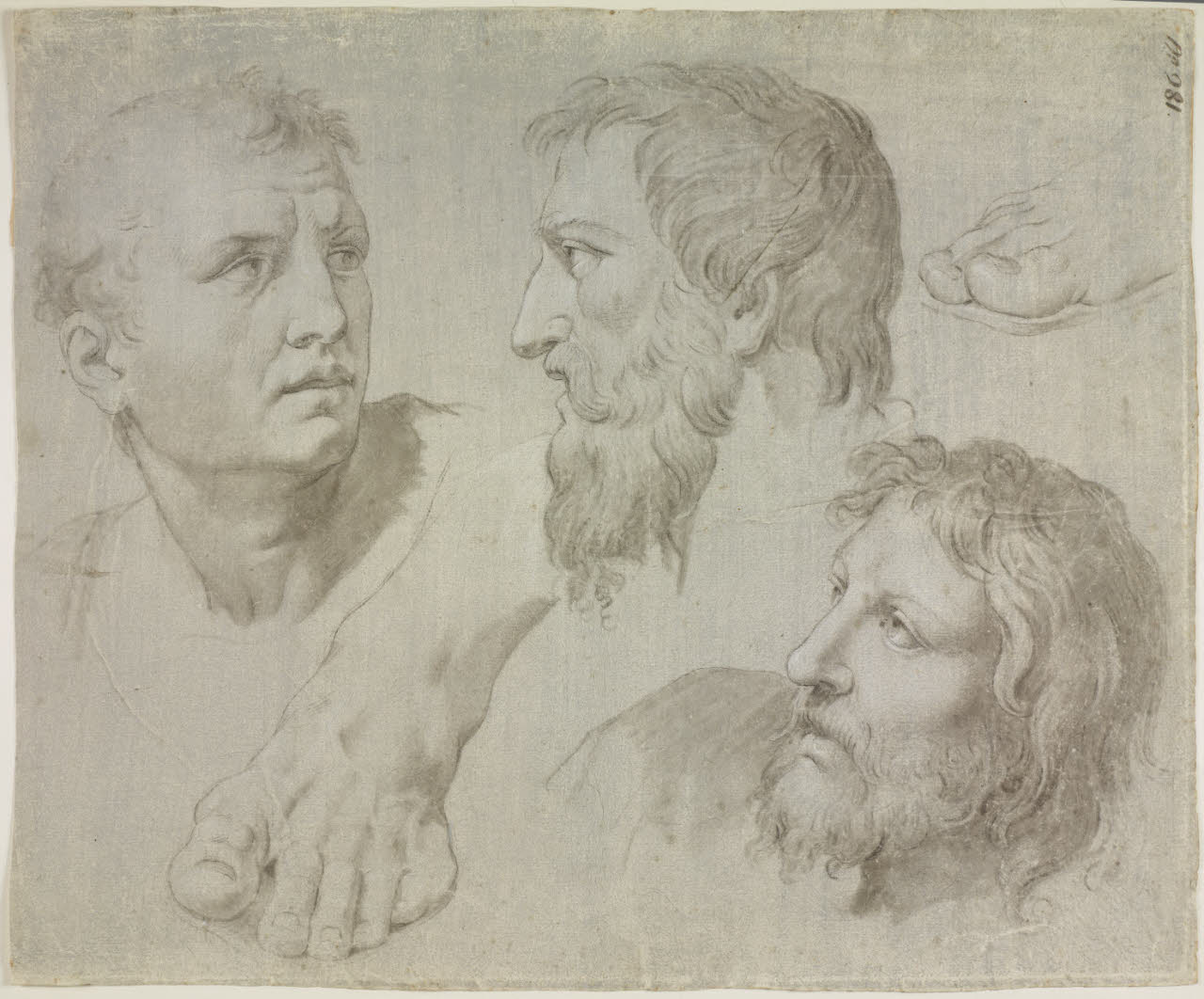 Tre teste maschili e due piedi (disegno) - ambito italiano (secc. XVIII/ XIX)