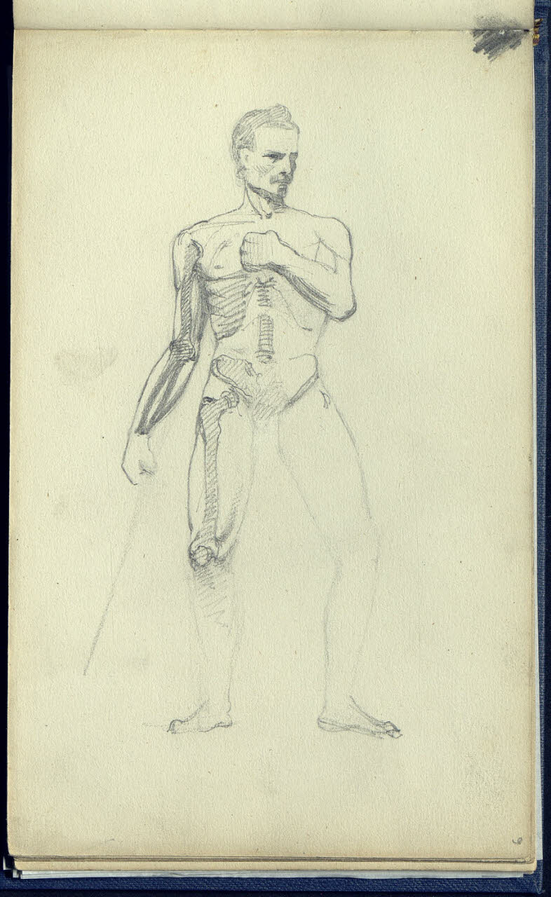 Studio osteologico e anatomico di una figura maschile (disegno) di Bianchi, Mosè; Bianchi, Mosè (sec. XIX)