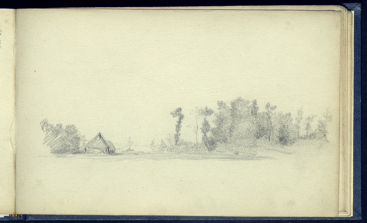 Paesaggio alberato con casupola (disegno) di Bianchi, Mosè; Bianchi, Mosè (seconda metà sec. XIX)