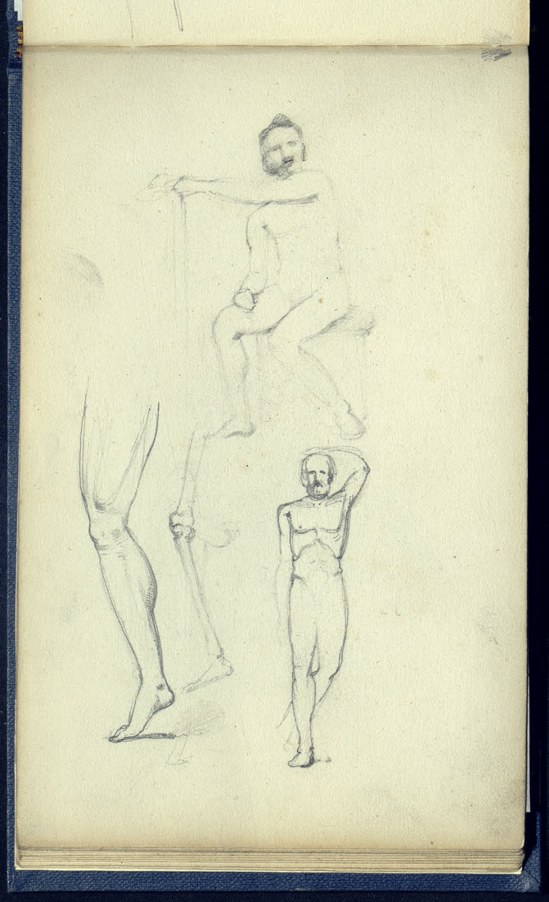 Studi anatomici e osteologici di due nudi maschili e di una gamba (disegno) di Bianchi, Mosè; Bianchi, Mosè (seconda metà sec. XIX)