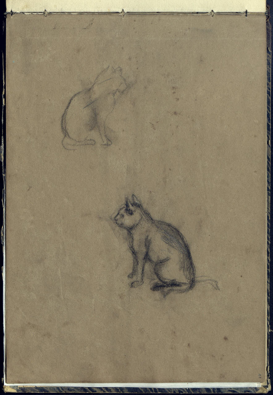 Due gatti (disegno) di Bianchi, Mosè; Bianchi, Mosè (seconda metà sec. XIX)